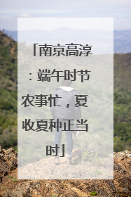 南京高淳：端午时节农事忙，夏收夏种正当时